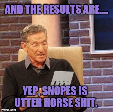 Maury Lie Detector Meme | AND THE RESULTS ARE.... YEP, SNOPES IS UTTER HORSE SHIT. | image tagged in memes,maury lie detector | made w/ Imgflip meme maker