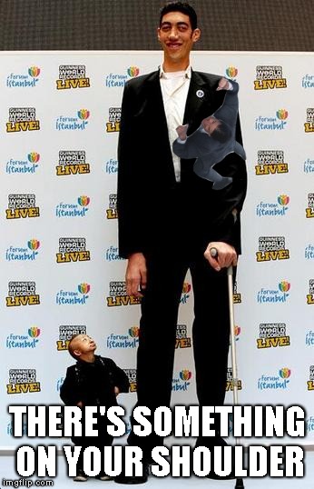 the tallest and shortest man in the world | THERE'S SOMETHING ON YOUR SHOULDER | image tagged in the tallest and shortest man in the world | made w/ Imgflip meme maker