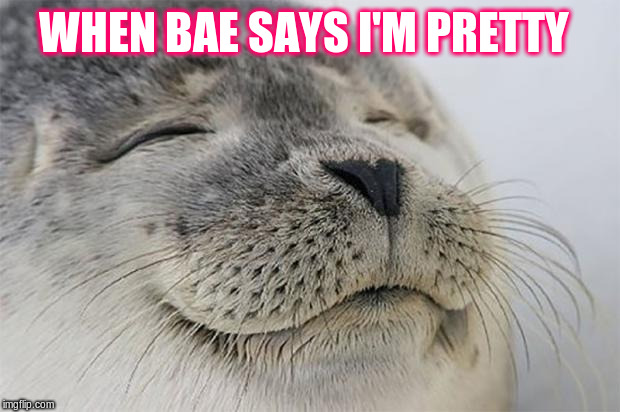 Satisfied Seal | WHEN BAE SAYS I'M PRETTY | image tagged in memes,satisfied seal | made w/ Imgflip meme maker