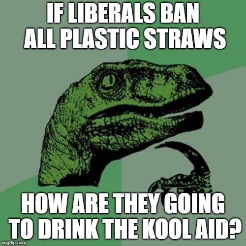 Philosoraptor | IF LIBERALS BAN ALL PLASTIC STRAWS; HOW ARE THEY GOING TO DRINK THE KOOL AID? | image tagged in memes,philosoraptor | made w/ Imgflip meme maker