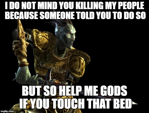I DO NOT MIND YOU KILLING MY PEOPLE BECAUSE SOMEONE TOLD YOU TO DO SO; BUT SO HELP ME GODS IF YOU TOUCH THAT BED | image tagged in morrowind the elder scroll iii dark elf | made w/ Imgflip meme maker