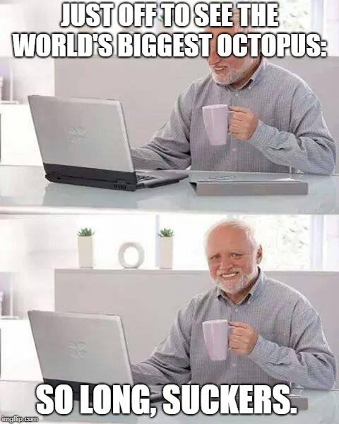 Hide the Pain Harold | JUST OFF TO SEE THE WORLD'S BIGGEST OCTOPUS:; SO LONG, SUCKERS. | image tagged in memes,hide the pain harold | made w/ Imgflip meme maker