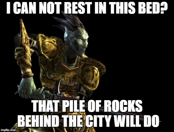 I CAN NOT REST IN THIS BED? THAT PILE OF ROCKS BEHIND THE CITY WILL DO | image tagged in morrowind the elder scroll iii dark elf | made w/ Imgflip meme maker