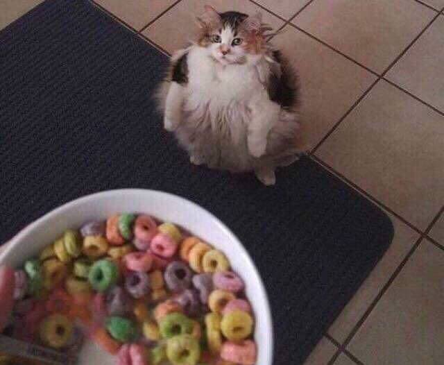 Fruit Loops Blank Meme Template