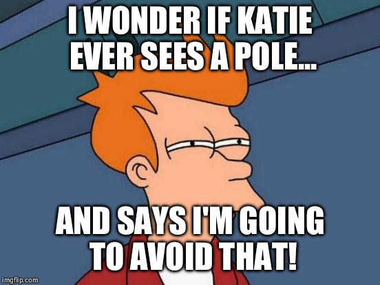 Futurama Fry Meme | I WONDER IF KATIE EVER SEES A POLE... AND SAYS I'M GOING TO AVOID THAT! | image tagged in memes,futurama fry | made w/ Imgflip meme maker