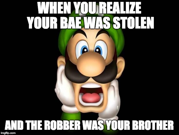 WTF Luigi | WHEN YOU REALIZE YOUR BAE WAS STOLEN; AND THE ROBBER WAS YOUR BROTHER | image tagged in wtf luigi | made w/ Imgflip meme maker