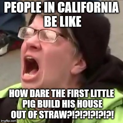 Don't be surprised if it actually gets to this point | PEOPLE IN CALIFORNIA BE LIKE; HOW DARE THE FIRST LITTLE PIG BUILD HIS HOUSE OUT OF STRAW?!?!?!?!?!?! | image tagged in memes,straws,triggered | made w/ Imgflip meme maker