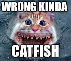 WRONG KINDA CATFISH | made w/ Imgflip meme maker