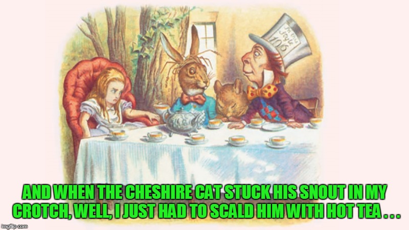 AND WHEN THE CHESHIRE CAT STUCK HIS SNOUT IN MY CROTCH, WELL, I JUST HAD TO SCALD HIM WITH HOT TEA . . . | made w/ Imgflip meme maker