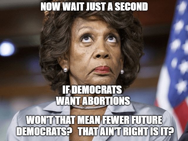 NOW WAIT JUST A SECOND; IF DEMOCRATS WANT ABORTIONS; WON'T THAT MEAN FEWER FUTURE DEMOCRATS? 
 THAT AIN'T RIGHT IS IT? | image tagged in maxi | made w/ Imgflip meme maker