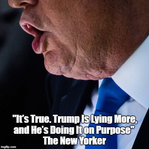 "ItÃ¢â‚¬â„¢s True. Trump Is Lying More, and HeÃ¢â‚¬â„¢s Doing It on Purpose" The New Yorker | made w/ Imgflip meme maker