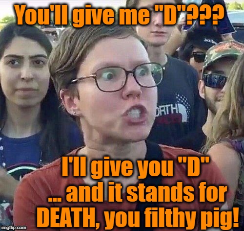 foggy | You'll give me "D"??? I'll give you "D" ... and it stands for DEATH, you filthy pig! | image tagged in triggered feminist | made w/ Imgflip meme maker