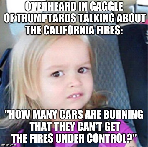 Confused Little Girl | OVERHEARD IN GAGGLE OF TRUMPTARDS TALKING ABOUT THE CALIFORNIA FIRES:; "HOW MANY CARS ARE BURNING THAT THEY CAN'T GET THE FIRES UNDER CONTROL?" | image tagged in confused little girl | made w/ Imgflip meme maker
