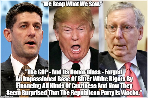 "We Reap What We Sow." "The GOP - And Its Donor Class - Forged An Impassioned Base Of Bitter White Bigots By Financing All Kinds Of Crazines | made w/ Imgflip meme maker