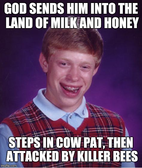 Bad Luck Brian | GOD SENDS HIM INTO THE LAND OF MILK AND HONEY; STEPS IN COW PAT, THEN ATTACKED BY KILLER BEES | image tagged in memes,bad luck brian | made w/ Imgflip meme maker