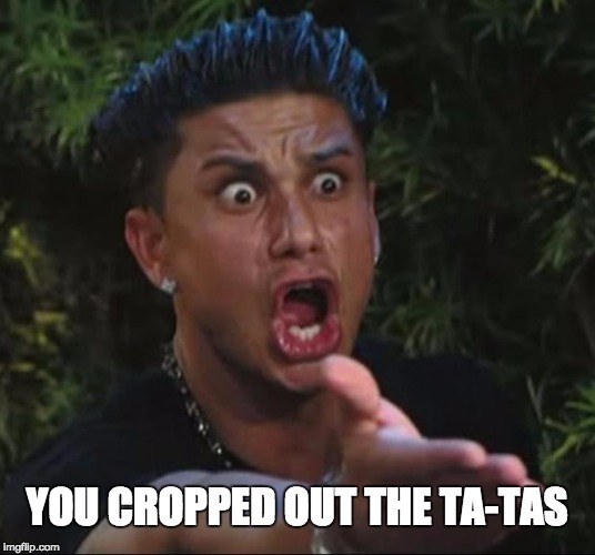 DJ Pauly D Meme | YOU CROPPED OUT THE TA-TAS | image tagged in memes,dj pauly d | made w/ Imgflip meme maker
