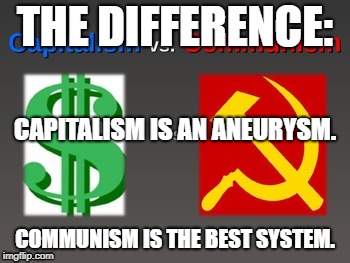 The difference between communism and capitalism | THE DIFFERENCE:; CAPITALISM IS AN ANEURYSM. COMMUNISM IS THE BEST SYSTEM. | image tagged in lol,communism and capitalism | made w/ Imgflip meme maker