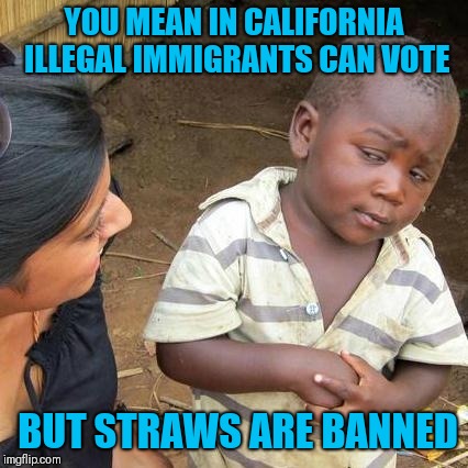 Third World Skeptical Kid Meme | YOU MEAN IN CALIFORNIA ILLEGAL IMMIGRANTS CAN VOTE; BUT STRAWS ARE BANNED | image tagged in memes,third world skeptical kid | made w/ Imgflip meme maker