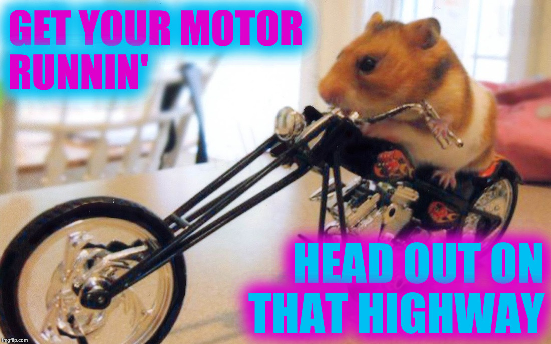 Like a true nature's child
We were born
Born to be wild
We can climb so high
I never wanna die ~^^~ | GET YOUR MOTOR RUNNIN'; HEAD OUT ON THAT HIGHWAY | image tagged in immabot,hamsters of love,easy rider,harley davidson,need for speed,steppenwolf | made w/ Imgflip meme maker