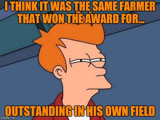 Futurama Fry Meme | I THINK IT WAS THE SAME FARMER THAT WON THE AWARD FOR... OUTSTANDING IN HIS OWN FIELD | image tagged in memes,futurama fry | made w/ Imgflip meme maker