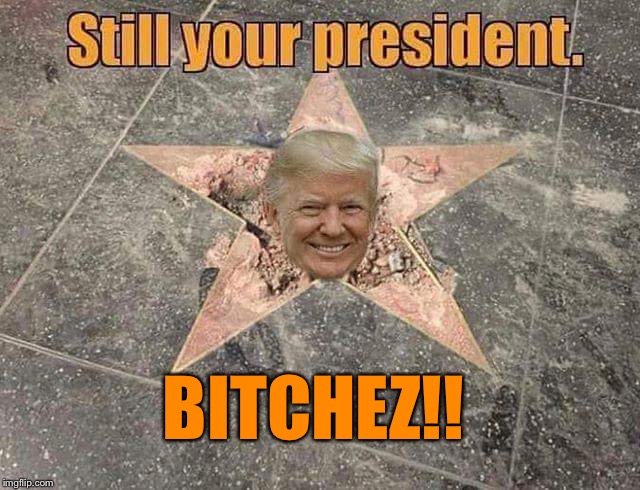 Keep smashing his star and they keep giving him a brand new shiney one.  | BITCHEZ!! | image tagged in maga | made w/ Imgflip meme maker