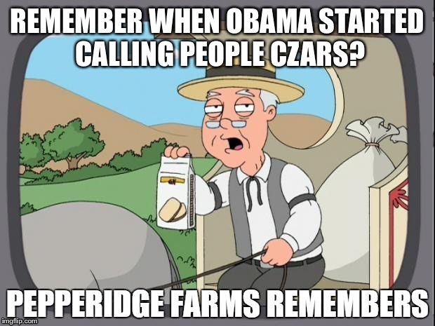 PEPPERIDGE FARMS REMEMBERS | REMEMBER WHEN OBAMA STARTED CALLING PEOPLE CZARS? | image tagged in pepperidge farms remembers | made w/ Imgflip meme maker