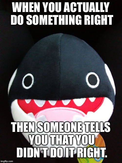 Back off haters | WHEN YOU ACTUALLY DO SOMETHING RIGHT; THEN SOMEONE TELLS YOU THAT YOU DIDN’T DO IT RIGHT. | image tagged in orca,memes | made w/ Imgflip meme maker
