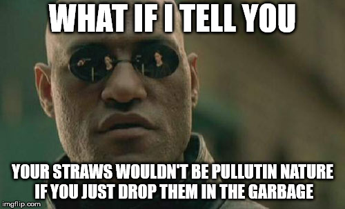 Professor Morpheus : Straw Expert |  WHAT IF I TELL YOU; YOUR STRAWS WOULDN'T BE PULLUTIN NATURE IF YOU JUST DROP THEM IN THE GARBAGE | image tagged in memes,matrix morpheus,what if i told you,straws,matrix,ecology | made w/ Imgflip meme maker