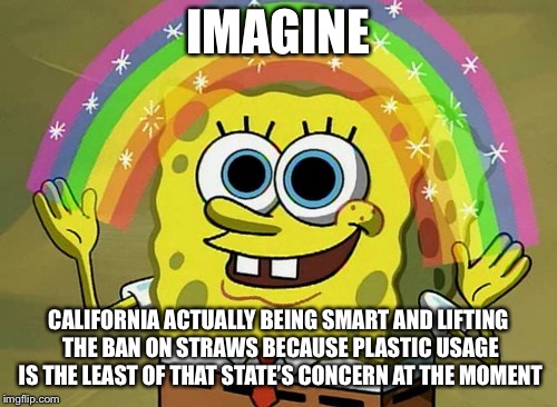 Imagination Spongebob | IMAGINE; CALIFORNIA ACTUALLY BEING SMART AND LIFTING THE BAN ON STRAWS BECAUSE PLASTIC USAGE IS THE LEAST OF THAT STATE’S CONCERN AT THE MOMENT | image tagged in memes,imagination spongebob | made w/ Imgflip meme maker