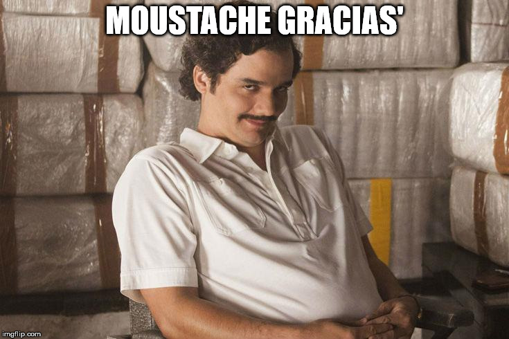 Moustache Gracias | MOUSTACHE GRACIAS' | image tagged in moustache gracias | made w/ Imgflip meme maker