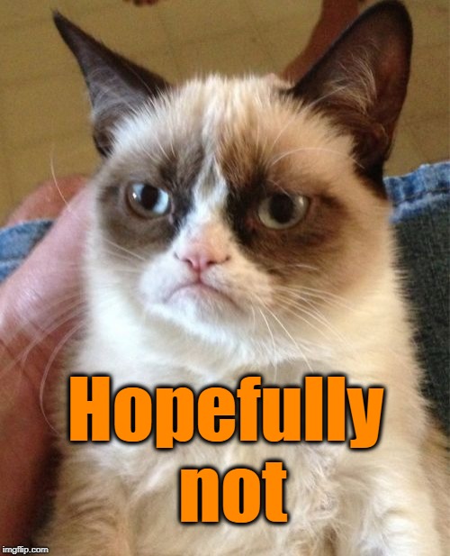 Grumpy Cat Meme | Hopefully not | image tagged in memes,grumpy cat | made w/ Imgflip meme maker