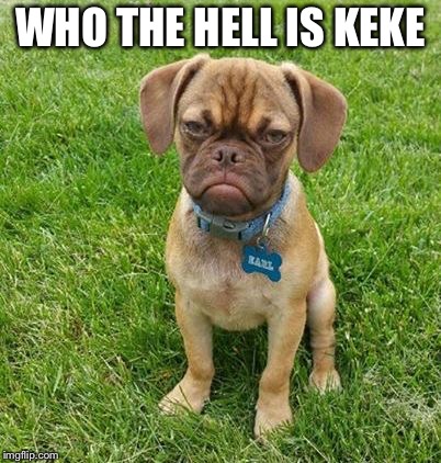 Grumpy Dog | WHO THE HELL IS KEKE | image tagged in grumpy dog | made w/ Imgflip meme maker