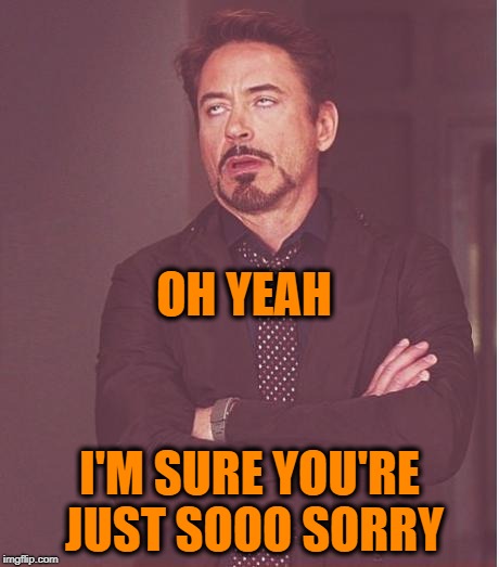 Face You Make Robert Downey Jr Meme | OH YEAH I'M SURE YOU'RE JUST SOOO SORRY | image tagged in memes,face you make robert downey jr | made w/ Imgflip meme maker