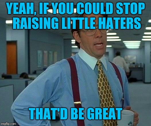 That Would Be Great Meme | YEAH, IF YOU COULD STOP RAISING LITTLE HATERS THAT'D BE GREAT | image tagged in memes,that would be great | made w/ Imgflip meme maker