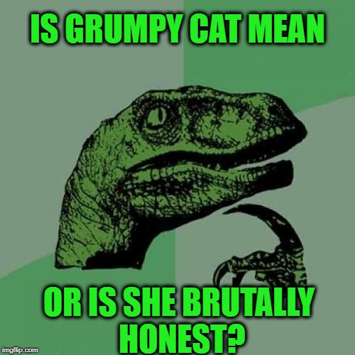 Philosoraptor Meme | IS GRUMPY CAT MEAN; OR IS SHE BRUTALLY HONEST? | image tagged in memes,philosoraptor | made w/ Imgflip meme maker