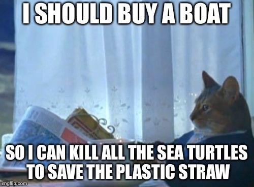 I Should Buy A Boat Cat Meme | I SHOULD BUY A BOAT; SO I CAN KILL ALL THE SEA TURTLES TO SAVE THE PLASTIC STRAW | image tagged in memes,i should buy a boat cat | made w/ Imgflip meme maker