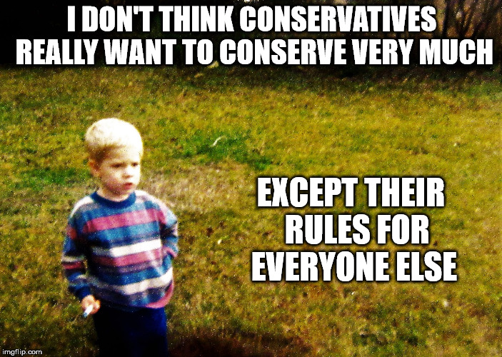 "I wonder" boy | I DON'T THINK CONSERVATIVES REALLY WANT TO CONSERVE VERY MUCH EXCEPT THEIR  RULES FOR EVERYONE ELSE | image tagged in i wonder boy | made w/ Imgflip meme maker