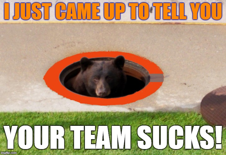 I JUST CAME UP TO TELL YOU; YOUR TEAM SUCKS! | image tagged in go bears,your team sucks,chicago bears,da bears,bear down | made w/ Imgflip meme maker