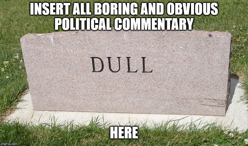 stoned and bored | INSERT ALL BORING AND OBVIOUS POLITICAL COMMENTARY HERE | image tagged in stoned and bored | made w/ Imgflip meme maker