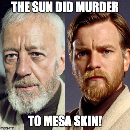 THE SUN DID MURDER; TO MESA SKIN! | made w/ Imgflip meme maker