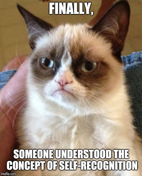 Grumpy Cat Meme | FINALLY, SOMEONE UNDERSTOOD THE CONCEPT OF SELF-RECOGNITION | image tagged in memes,grumpy cat | made w/ Imgflip meme maker