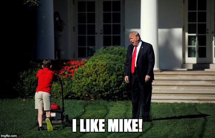 Trump Lawn Mower | I LIKE MIKE! | image tagged in trump lawn mower | made w/ Imgflip meme maker