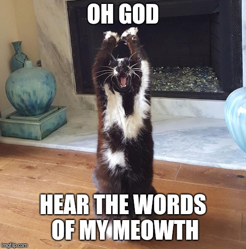 OH GOD; HEAR THE WORDS OF MY MEOWTH | made w/ Imgflip meme maker