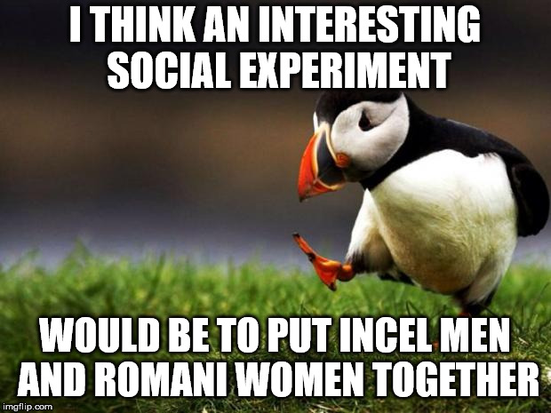 Unpopular Opinion Puffin Meme | I THINK AN INTERESTING SOCIAL EXPERIMENT; WOULD BE TO PUT INCEL MEN AND ROMANI WOMEN TOGETHER | image tagged in memes,unpopular opinion puffin | made w/ Imgflip meme maker
