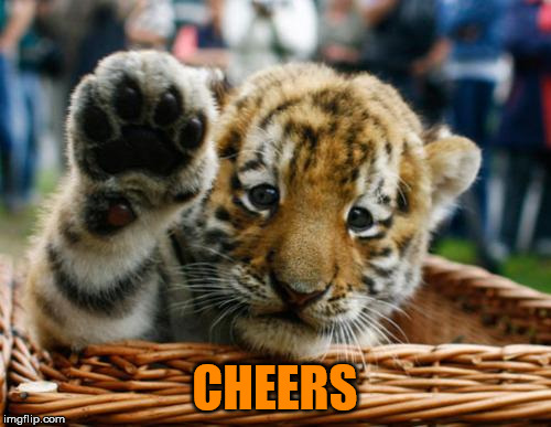 Tiger 5 | CHEERS | image tagged in tiger 5 | made w/ Imgflip meme maker