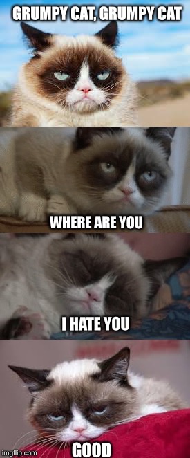 Grumpy cat  | GRUMPY CAT, GRUMPY CAT; WHERE ARE YOU; I HATE YOU; GOOD | image tagged in grumpy cat | made w/ Imgflip meme maker