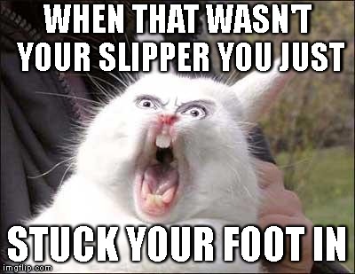 WHEN THAT WASN'T YOUR SLIPPER YOU JUST STUCK YOUR FOOT IN | made w/ Imgflip meme maker