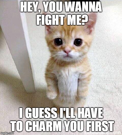 Cute Cat Meme | HEY, YOU WANNA FIGHT ME? I GUESS I'LL HAVE TO CHARM YOU FIRST | image tagged in memes,cute cat | made w/ Imgflip meme maker