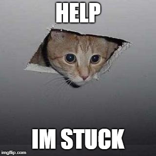 Ceiling Cat Meme | HELP; IM STUCK | image tagged in memes,ceiling cat | made w/ Imgflip meme maker