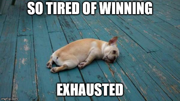 tired dog | SO TIRED OF WINNING; EXHAUSTED | image tagged in tired dog | made w/ Imgflip meme maker